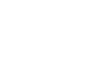 FIEE 官方标识