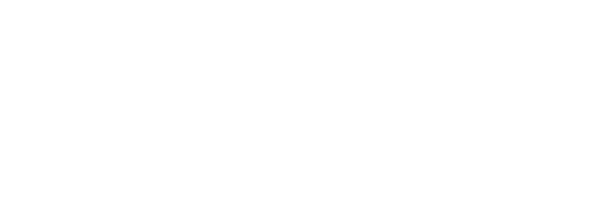 Secutech Vietnam 官方标识